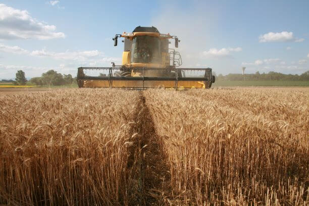 En OCU fincas y casas apuestan por las tierras de cereal de secano.